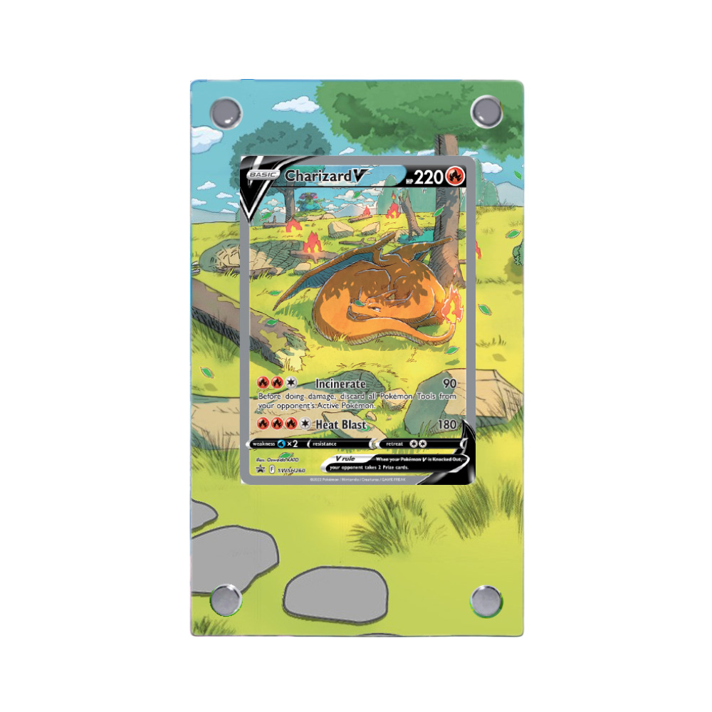 Umbreon Charizard Raikou Pokem - Model Kit Umbreon review and price